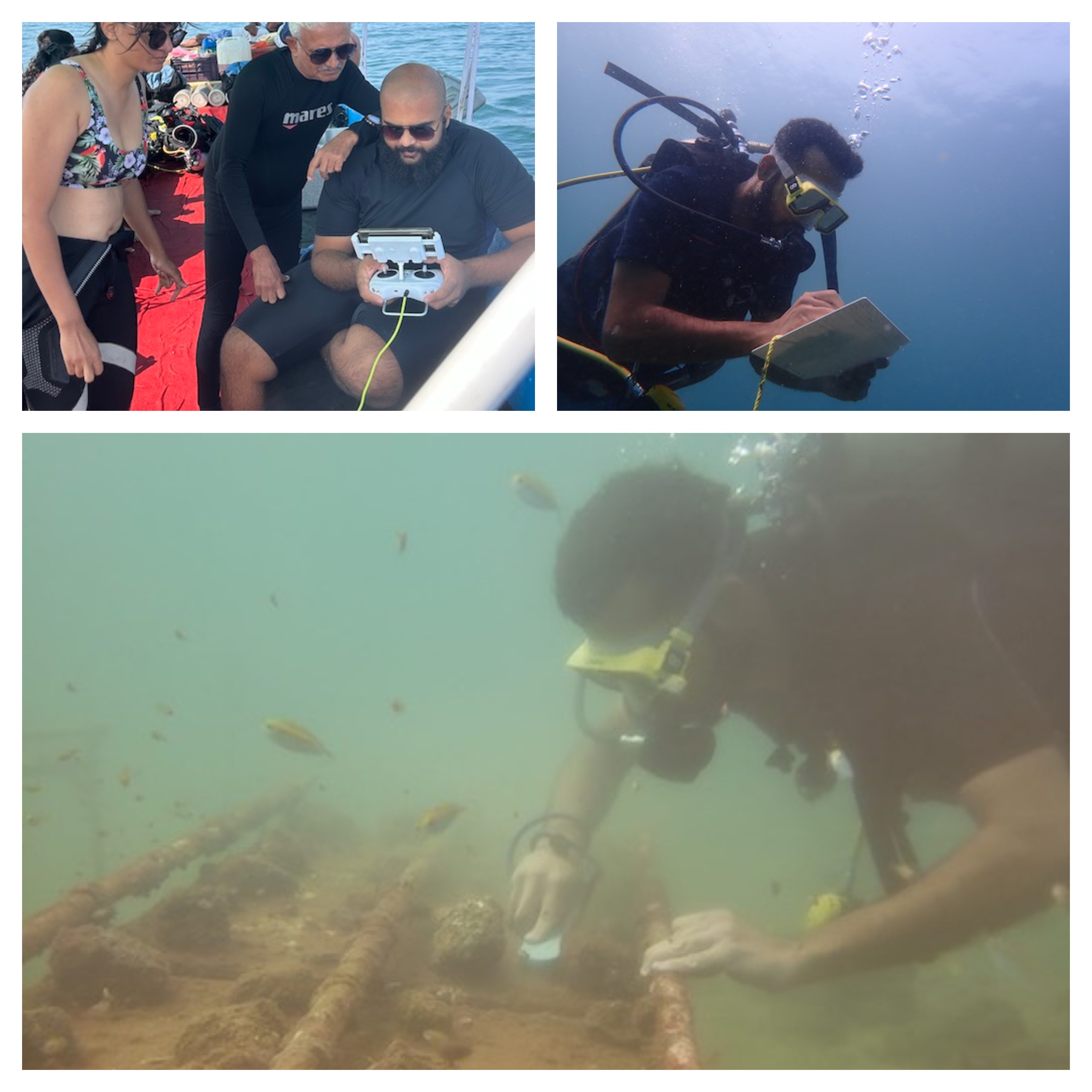 Different pictures from different dive days